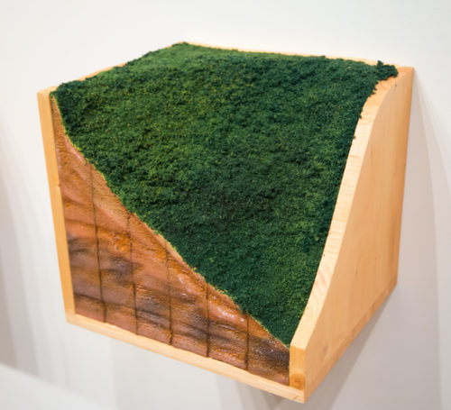 Slices of Landscape: Tres Pueblos, Paradise Lost, Eden Summit, Deadfall / Ravine and ﻿Declining Landscape