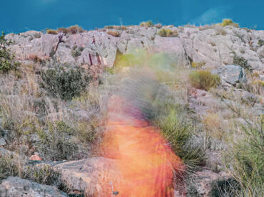 Argumentum Ornithologicum II