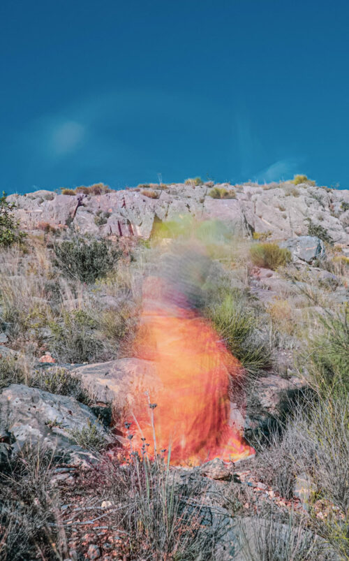 Argumentum Ornithologicum II