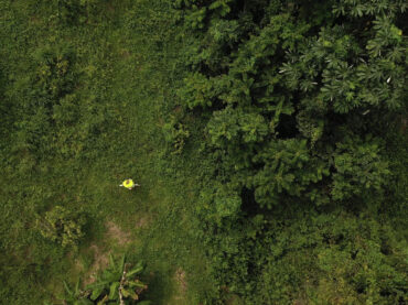 Argumentum Ornithologicum